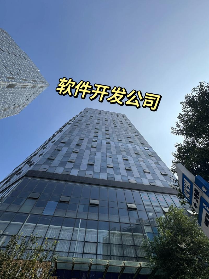 智能硬件定制：打造个性化科技体验的金钥匙